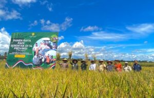 Presiden Prabowo Panen Raya Perkuat Kolaborasi, Bupati Pesawaran Pertanian Jadi prioritas