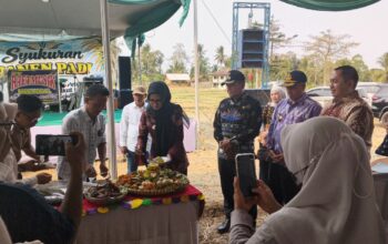 Meski Kemarau Panjang, Petani Desa Bernung Sukses Dongkrak Hasil Panen Padi