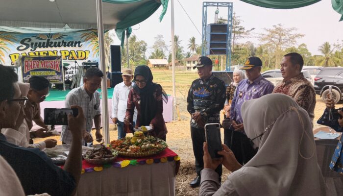 Meski Kemarau Panjang, Petani Desa Bernung Sukses Dongkrak Hasil Panen Padi